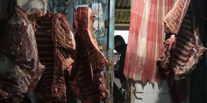 Carnes abatidas clandestinamente em Caxias do Sul (Foto: Reprodução / Tiago Coutinho / Imprensa MPRS) Carnes abatidas clandestinamente em Caxias do Sul (Foto: Reprodução / Tiago Coutinho / Imprensa MPRS)