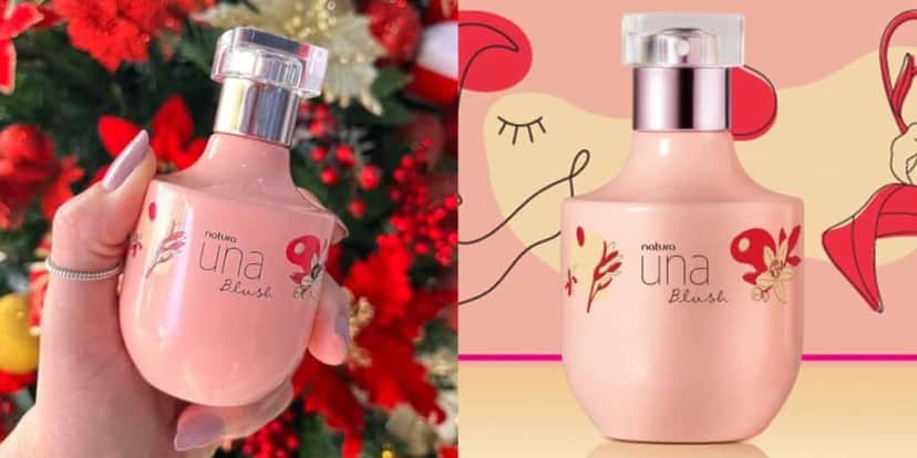 Natura una blush (Foto: Reprodução/ Internet) Natura una blush (Foto: Reprodução/ Internet)