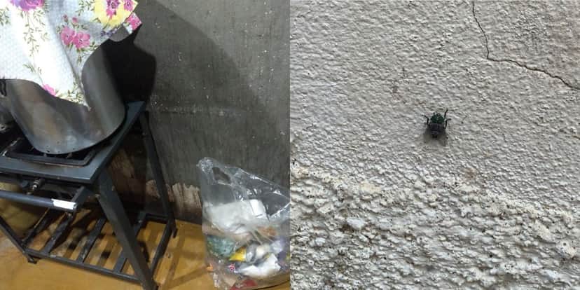 Insetos e lixos no meio do restaurante (Reprodução: Prefeitura de Barra de São Francisco) Insetos e lixos no meio do restaurante (Reprodução: Prefeitura de Barra de São Francisco)
