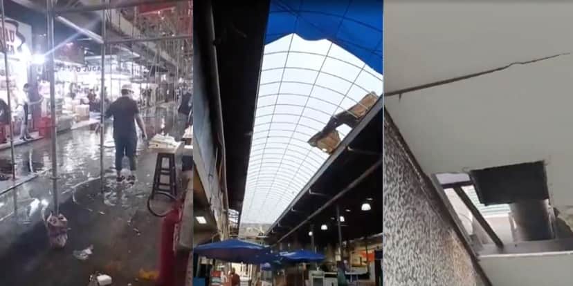 Instalações insalubres do mercado municipal (Reprodução/Globo) Instalações insalubres do mercado municipal (Reprodução/Globo)