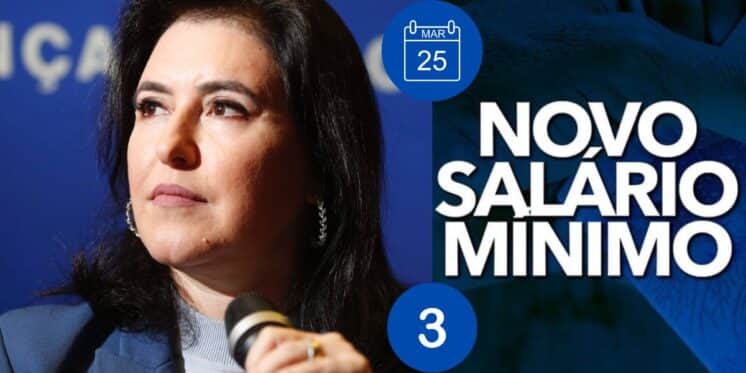 Simone Tebet fala sobre aumento do salário mínimo (Foto: Reprodução / Gov / Canva / Montagem TV Foco) Simone Tebet fala sobre aumento do salário mínimo (Foto: Reprodução / Gov / Canva / Montagem TV Foco)