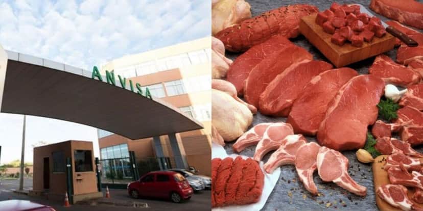 Anvisa cravou a retirada de 3 carnes populares (Reprodução/Montagem/Gov/Extra) Anvisa cravou a retirada de 3 carnes populares (Reprodução/Montagem/Gov/Extra)