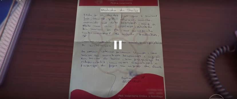 http://tvfoco.uai.com.br/wp-content/uploads/2015/05/Daniela-Mercury.jpg http://tvfoco.uai.com.br/wp-content/uploads/2015/05/Daniela-Mercury.jpg