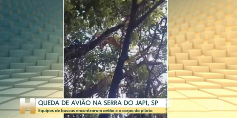Destroço de avião em árvore (Foto: Reprodução / Globo) Destroço de avião em árvore (Foto: Reprodução / Globo)