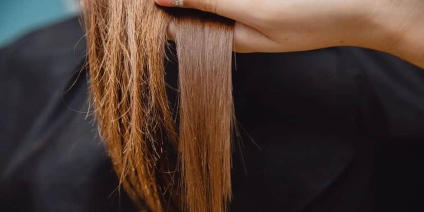 Veja a diferença de um cabelo ressecado e um hidratado (Reprodução: Internet) Veja a diferença de um cabelo ressecado e um hidratado (Reprodução: Internet)