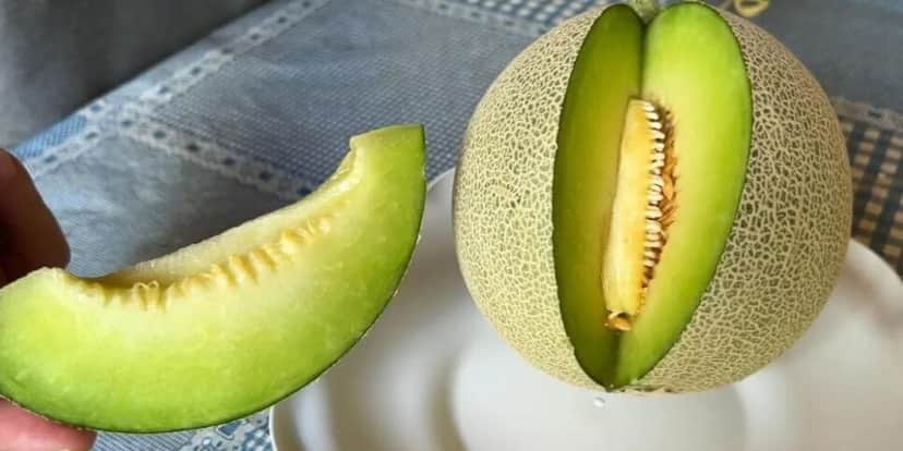 Melão é rico em Vitamina C e ainda melhora a produção de colágeno (Foto Reprodução/Youtube) Melão é rico em Vitamina C e ainda melhora a produção de colágeno (Foto Reprodução/Youtube)