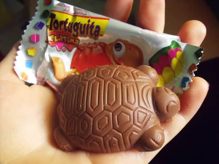 Tortuguitas com gelatina Tortuguitas com gelatina