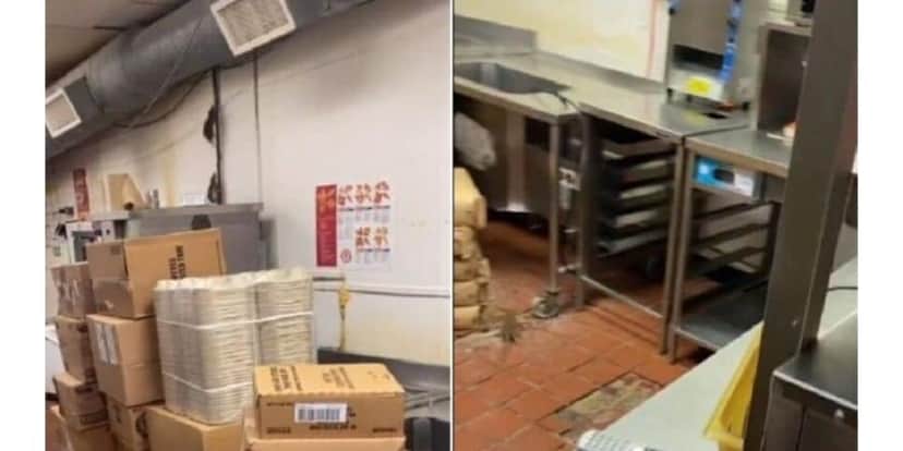 Ratos em cozinha de restaurante nos Estados Unidos (Foto: Reprodução / YouTube) Ratos em cozinha de restaurante nos Estados Unidos (Foto: Reprodução / YouTube)