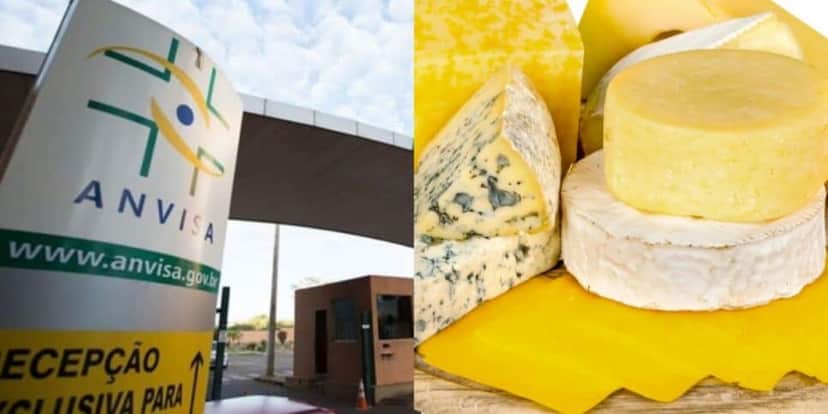 A proibição da ANVISA contra queijo que pode estar na sua geladeira - Foto: Internet A proibição da ANVISA contra queijo que pode estar na sua geladeira - Foto: Internet