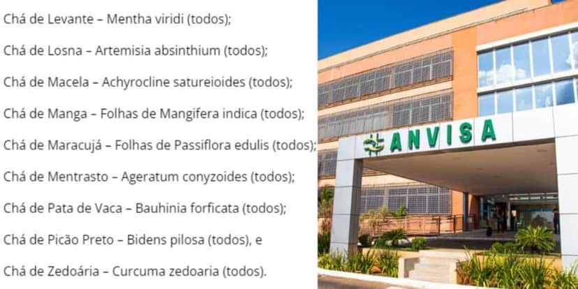 Fim da lista de chás proibidos (Reprodução: Internet) Fim da lista de chás proibidos (Reprodução: Internet)