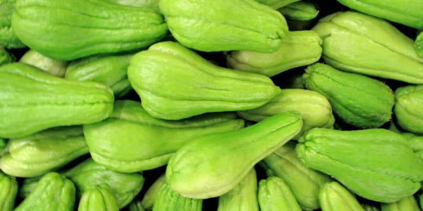 Chuchu é rico em diversas vitaminas que ajuda a acabar com a dor nas articulações (Reprodução: Internet) Chuchu é rico em diversas vitaminas que ajuda a acabar com a dor nas articulações (Reprodução: Internet)