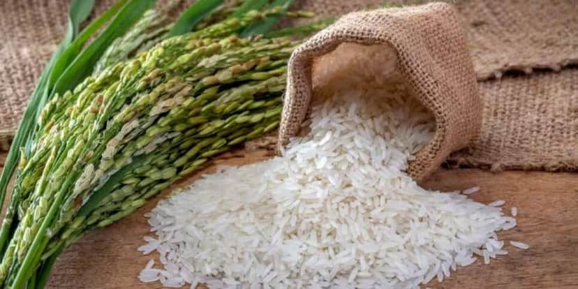 Arroz pode te ajudar a clarear as manchas (Reprodução: internet) Arroz pode te ajudar a clarear as manchas (Reprodução: internet)