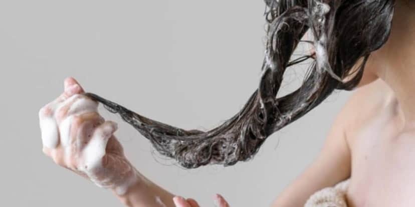 Shampoo também não tinha registro no órgão (Reprodução: Internet) Shampoo também não tinha registro no órgão (Reprodução: Internet)