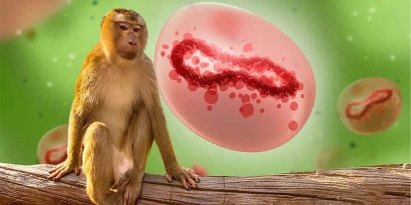 Varíola do macaco é uma infecção viral e letal (Reprodução/G1)) Varíola do macaco é uma infecção viral e letal (Reprodução/G1))