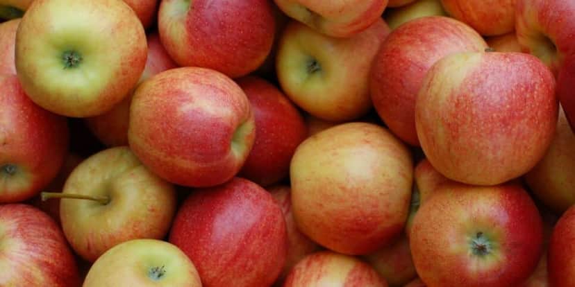 Suco com maçã ajude a reduzir o colesterol alto e o AVC (Foto: Divulgação) sucos naturais Suco com maçã ajude a reduzir o colesterol alto e o AVC (Foto: Divulgação) sucos naturais