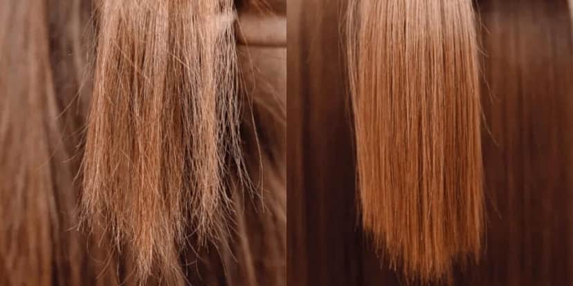 Adeus cabelo ressecado com esse único ingrediente que te dá resultados de salão (Foto: Montagem) Adeus cabelo ressecado com esse único ingrediente que te dá resultados de salão (Foto: Montagem)
