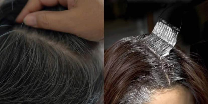 Fim do cabelo grisalho com 2 tintas naturais (Reprodução: Montagem TV Foco) Fim do cabelo grisalho com 2 tintas naturais (Reprodução: Montagem TV Foco)