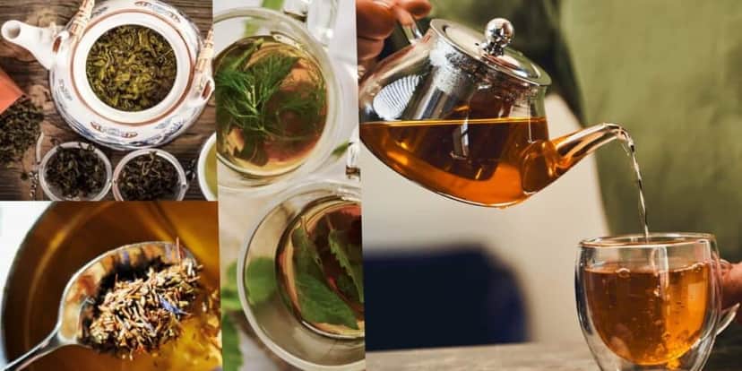 Processos de preparo de um chá natural entre fervura, infusão e finalização (Foto Reprodução/Montagem/Lennita/Canva/Tv Foco) Processos de preparo de um chá natural entre fervura, infusão e finalização (Foto Reprodução/Montagem/Lennita/Canva/Tv Foco)