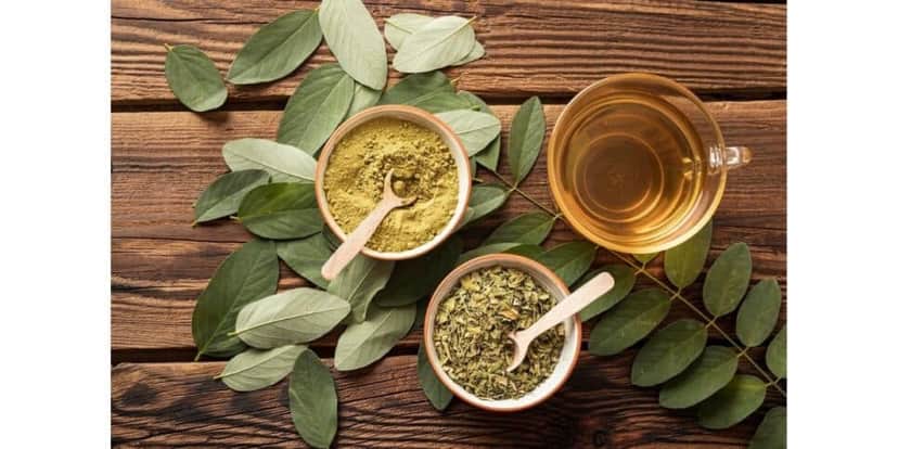 Chá de Moringa (Foto: Internet) Chá de Moringa (Foto: Internet)