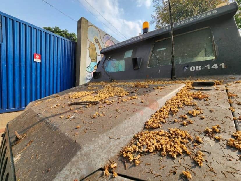 Carros fortes da Fidelys estão abandonados e causando transtornos para moradores de BH (Foto Reprodução/Montagem/Maurício Vieira) Carros fortes da Fidelys estão abandonados e causando transtornos para moradores de BH (Foto Reprodução/Montagem/Maurício Vieira)