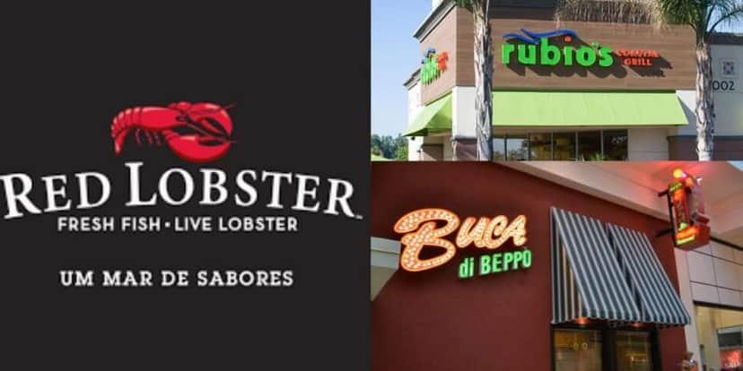 Red Lobster, Rubio's Coastal Grill e Buca di Beppo também enfrentaram falências em 2024 (Foto Reprodução/Montagem/Tv Foco) Red Lobster, Rubio's Coastal Grill e Buca di Beppo também enfrentaram falências em 2024 (Foto Reprodução/Montagem/Tv Foco)