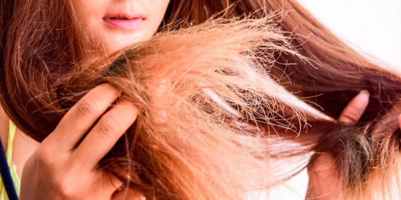 Adeus cabelo ressecado com essa receita caseira (Foto: Montagem) Adeus cabelo ressecado com essa receita caseira (Foto: Montagem)