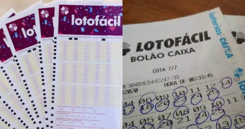 Lotofácil tem mais chances de ganhar (Reprodução: Caixa/Divulgação) Lotofácil tem mais chances de ganhar (Reprodução: Caixa/Divulgação)