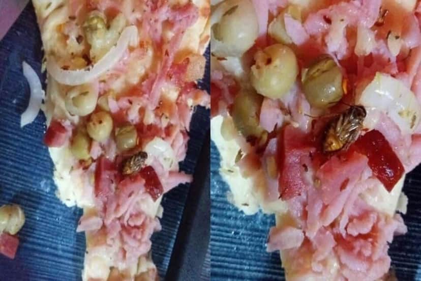 Barata encontrada em comida de pizzaria (Foto: Reprodução/ Internet) Barata encontrada em comida de pizzaria (Foto: Reprodução/ Internet)