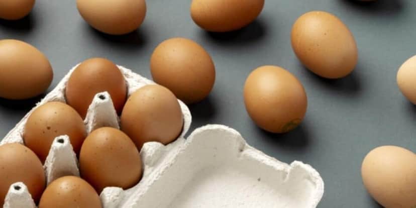 Mais de 10 mil ovos foram descartados por risco de contaminação (Foto Reprodução/Internet) Mais de 10 mil ovos foram descartados por risco de contaminação (Foto Reprodução/Internet)
