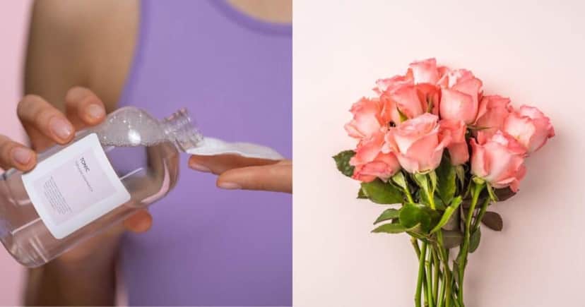 Tônico de pétalas de rosa (Reprodução/Canva) Tônico de pétalas de rosa (Reprodução/Canva)