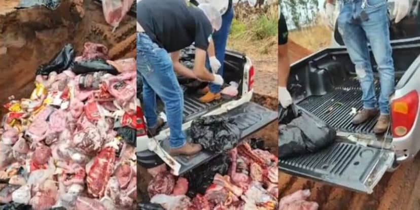 Vigilância descarta mais de uma tonelada de carne no lixo em Tocantins (Foto Reprodução/Montagem/Tv Foco/G1) Vigilância descarta mais de uma tonelada de carne no lixo em Tocantins (Foto Reprodução/Montagem/Tv Foco/G1)