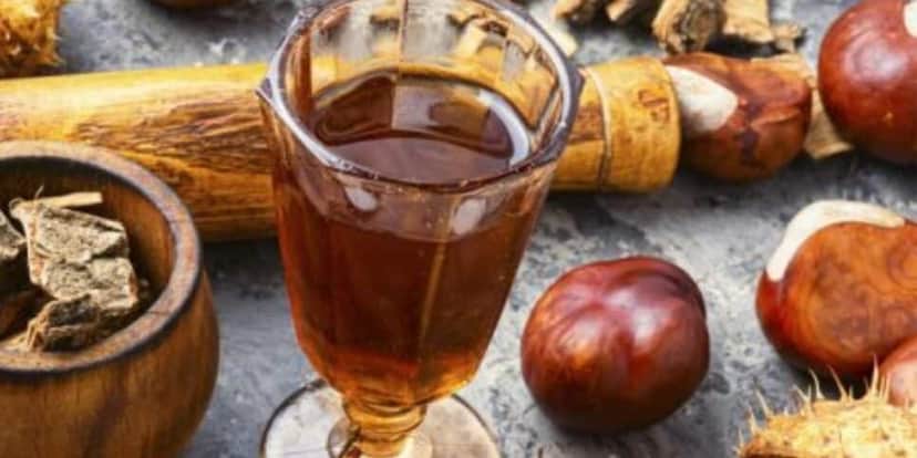 Chá de Castanha da Índia Chá de Castanha da Índia