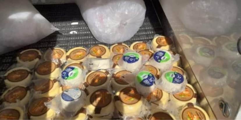 49 peças de queijo e 8 de ricota foram apreendidos pela Vigilância Sanitária (Foto Reprodução/YouTube) 49 peças de queijo e 8 de ricota foram apreendidos pela Vigilância Sanitária (Foto Reprodução/YouTube)