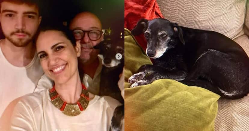 http://tvfoco.uai.com.br/wp-content/uploads/2015/05/Daniela-Mercury.jpg http://tvfoco.uai.com.br/wp-content/uploads/2015/05/Daniela-Mercury.jpg