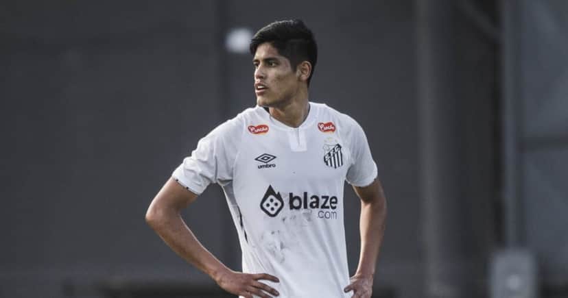 Fernando Nava - (Crédito: Bruno Vaz/Santos FC) Fernando Nava - (Crédito: Bruno Vaz/Santos FC)