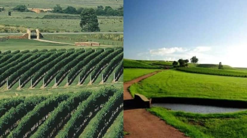 A gigantesca fazenda de 100 hectares do apresentador (Fotos: Reprodução/ Instagram/ Internet/ Montagem) A gigantesca fazenda de 100 hectares do apresentador (Fotos: Reprodução/ Instagram/ Internet/ Montagem)