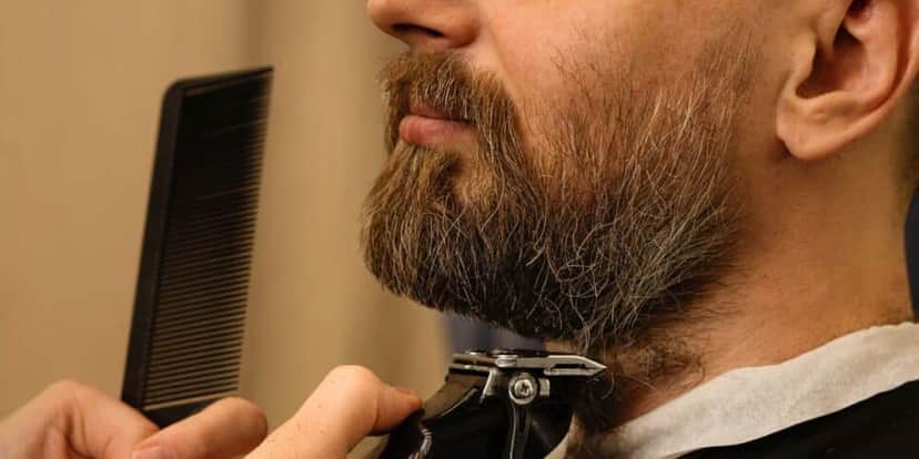 Barba Barba