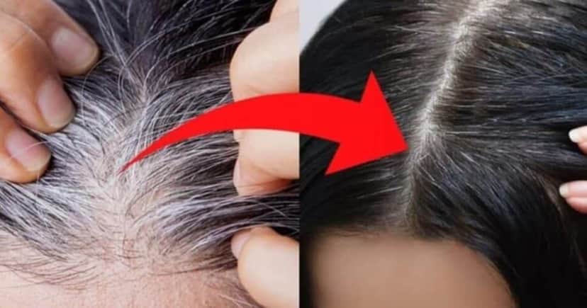 5 passos milagrosos triplicam a duração da tinta e livram idosas do retoque no salão - Foto: Internet 5 passos milagrosos triplicam a duração da tinta e livram idosas do retoque no salão - Foto: Internet