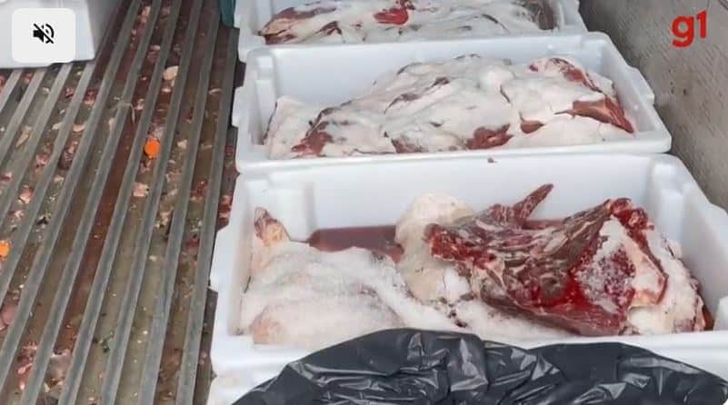 Carne em estado de decomposição (Foto Reprodução/G1) Carne em estado de decomposição (Foto Reprodução/G1)