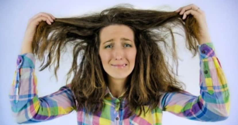 Bad hair day - Foto: Internet
