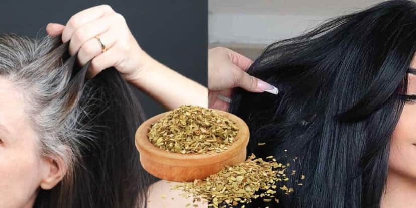 Fim do cabelo branco com tinta natural de orégano (Reprodução: Montagem TV Foco) Fim do cabelo branco com tinta natural de orégano (Reprodução: Montagem TV Foco)