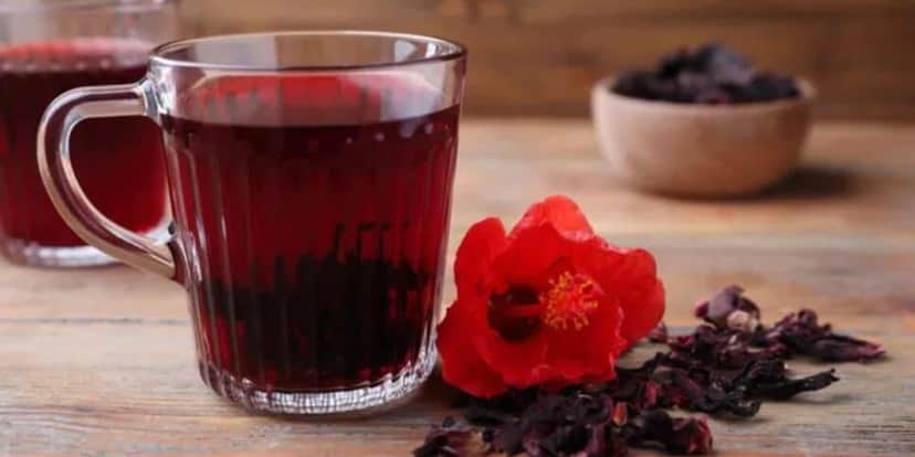 Chá de hibisco ajuda no emagrecimento (Reprodução: Canva) Chá de hibisco ajuda no emagrecimento (Reprodução: Canva)