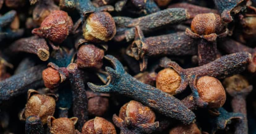 Cravo da índia traz vários benefícios para o cabelo (Foto: iStock)