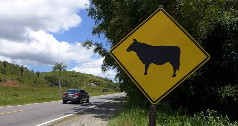 Lei de trânsito anunciada em Curitiba vem com proibição aos motoristas (Foto: Reprodução/ Internet)