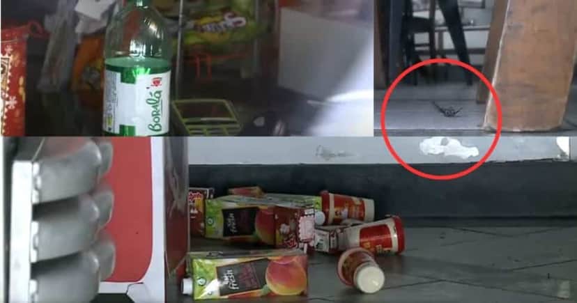 Padaria Sabina ficou com produtos abandonados em todo espaço e até moscas mortas no chão (Foto Reprodução/Montagem/Tv Foco/Canva/YouTube) Padaria Sabina ficou com produtos abandonados em todo espaço e até moscas mortas no chão (Foto Reprodução/Montagem/Tv Foco/Canva/YouTube)