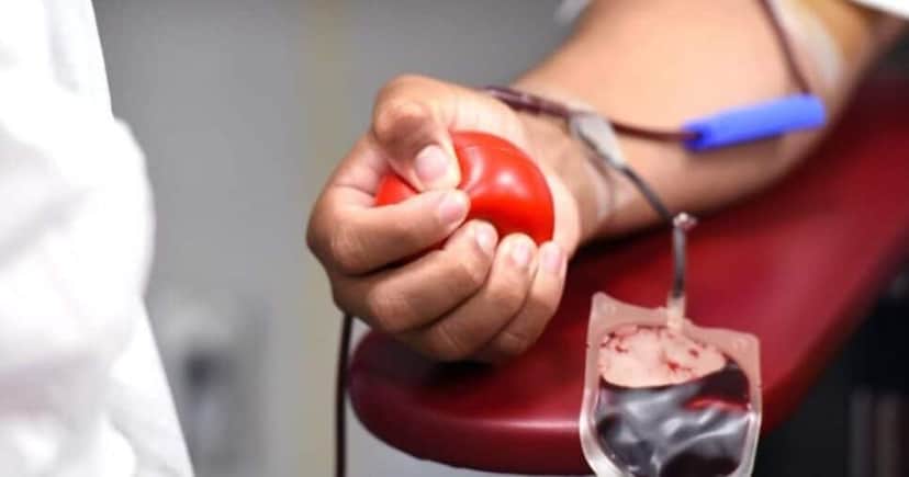 Licença para doação de sangue (Reprodução/Internet) Licença para doação de sangue (Reprodução/Internet)