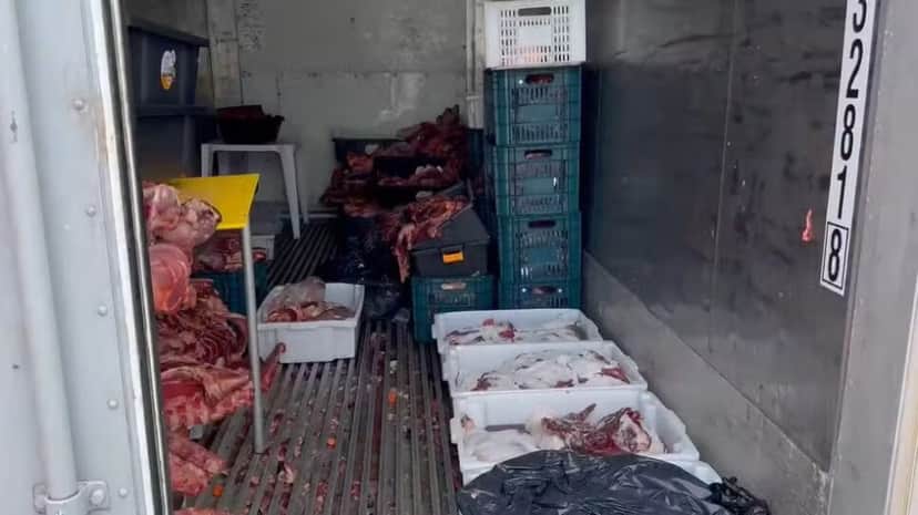 Carne estragada em contêiner em Itajaí — Foto: Reprodução/Vigilância Sanitária de Itajaí Carne estragada em contêiner em Itajaí — Foto: Reprodução/Vigilância Sanitária de Itajaí
