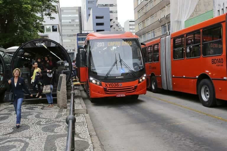 Ônibus em Curitiba poderá transportar animais de estimação (Foto Reprodução/Montagem/Tv Foco/Canva)