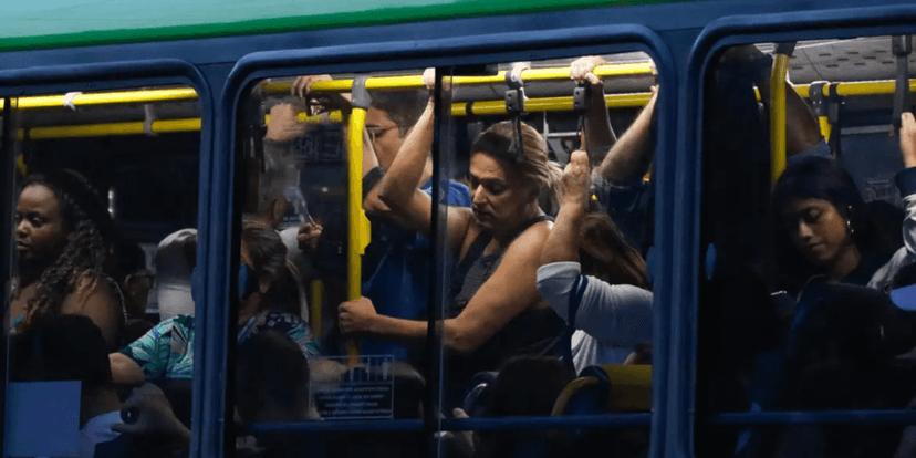 Passe-Livre, Campinas Passe-Livre, Campinas