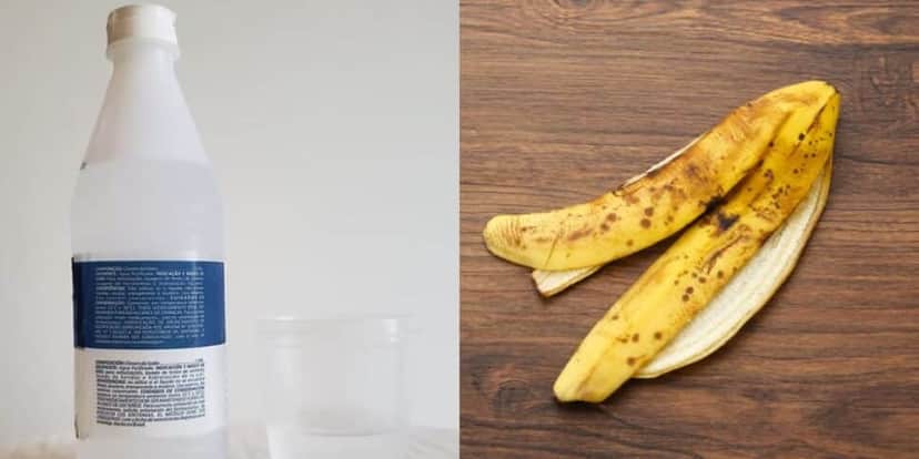 Soro e casca de banana ajudam a clarear a pele (Reprodução: Montagem TV Foco) Soro e casca de banana ajudam a clarear a pele (Reprodução: Montagem TV Foco)